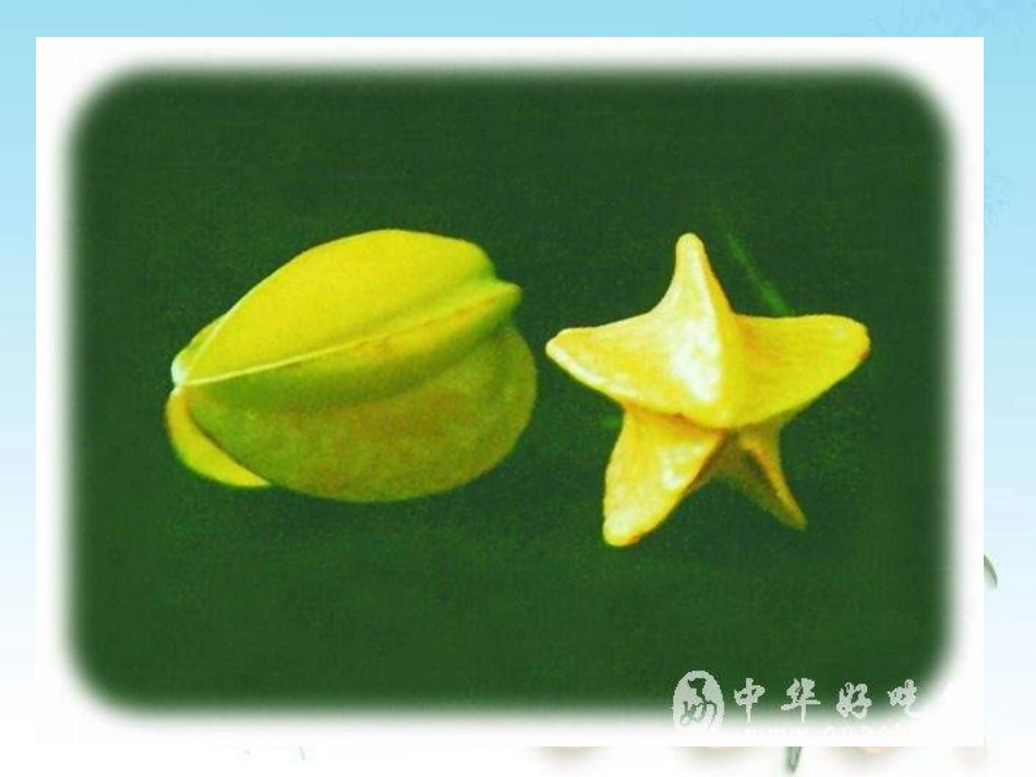 初中班会换位思考_学会宽容_第3页