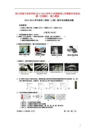 四川省望子成龙学校2013-2014学年八年级物理上学期期末考试试题