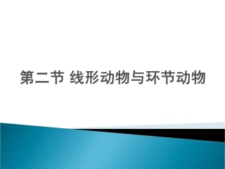 人教版八上第五单元第一章第二节线形动物和环节动物课件（共40张PPT）