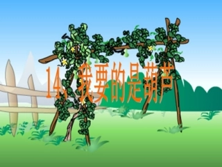 《我要的是葫芦》课件