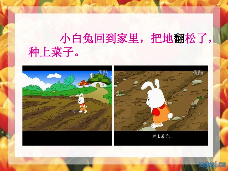 小白兔和小灰兔课件_第3页
