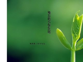 难忘的小学生活