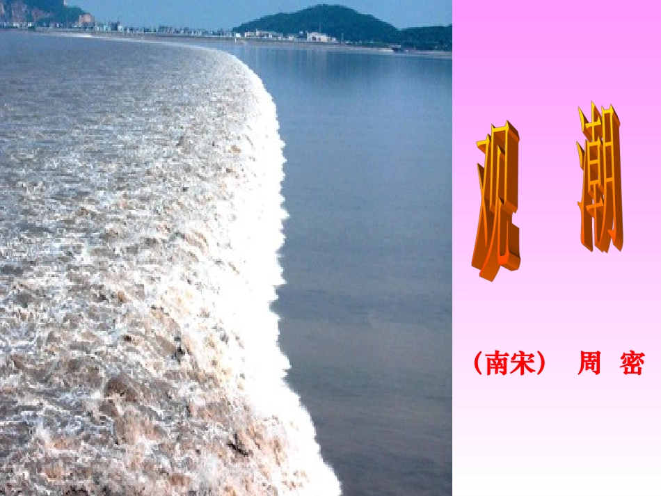 八年级语文第二十八课《观潮》课件人教版_第1页