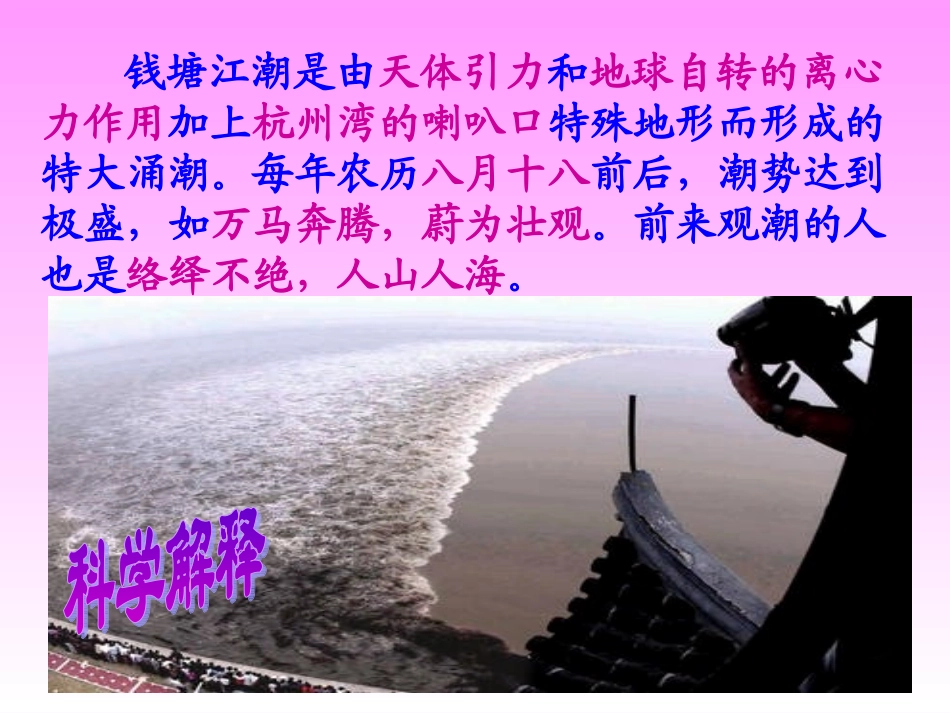 八年级语文第二十八课《观潮》课件人教版_第2页