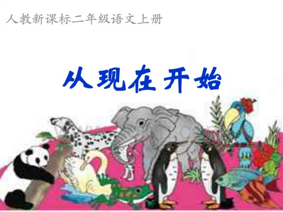 《从现在开始》课件_第1页