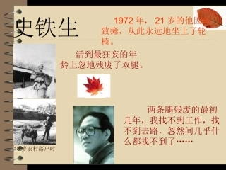 秋天的怀念课件
