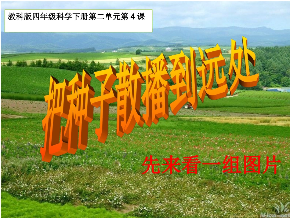 把种子散播到远处_第3页
