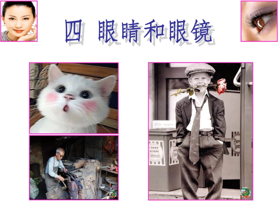 《34眼睛和眼镜》+flash课件_第1页