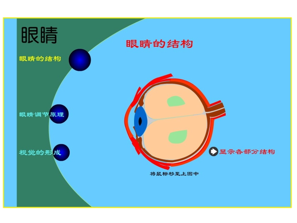 《34眼睛和眼镜》+flash课件_第2页