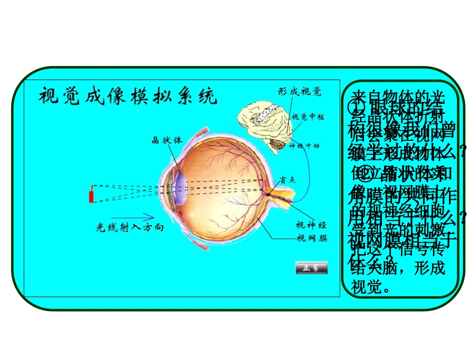 《34眼睛和眼镜》+flash课件_第3页
