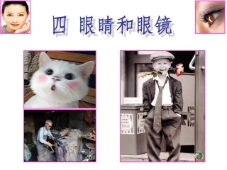 《34眼睛和眼镜》+flash课件