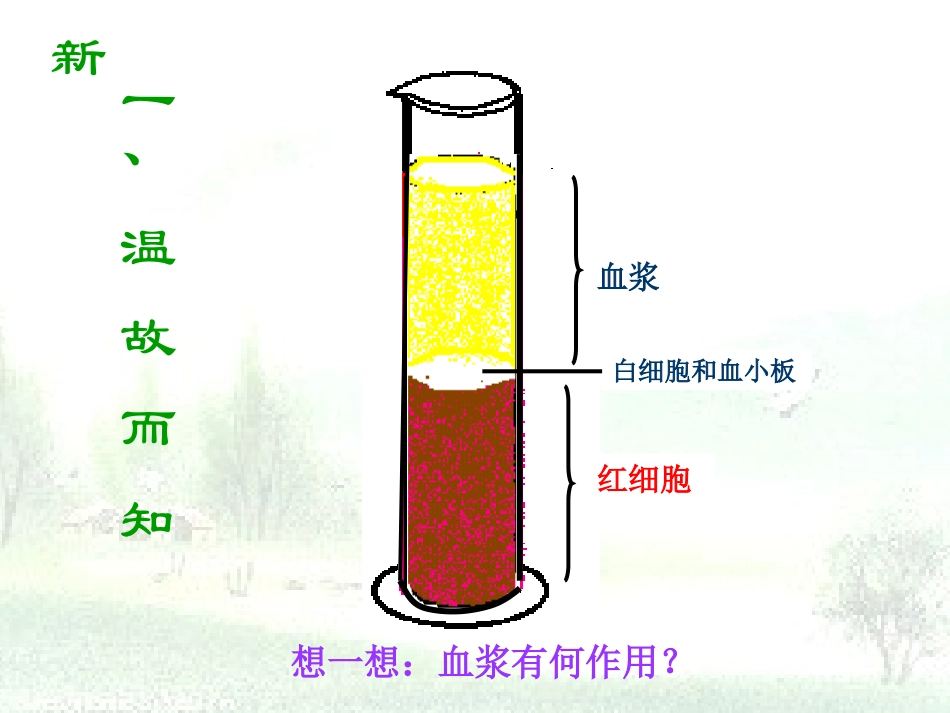 实验观察小鱼尾鳍内血液的流动_第2页