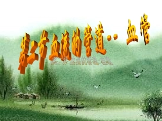 实验观察小鱼尾鳍内血液的流动