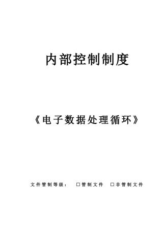 内部控制制度《电子数据处理循环》