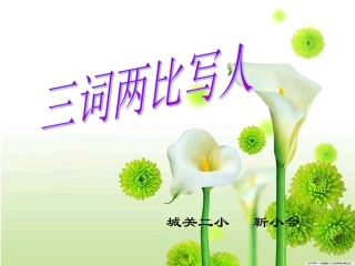 三词两比靳小会