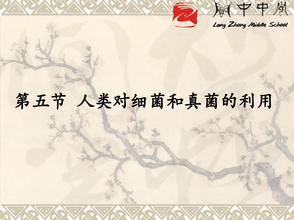 上课第五节人类对细菌和真菌的利用(新人教版)_第3页