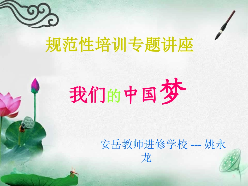 规范性培训专题讲座《中国梦》_第1页