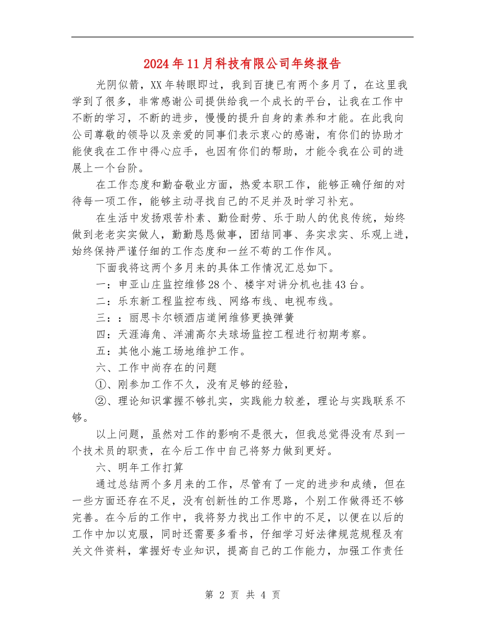 2024年11月科技有限公司年终报告_第2页