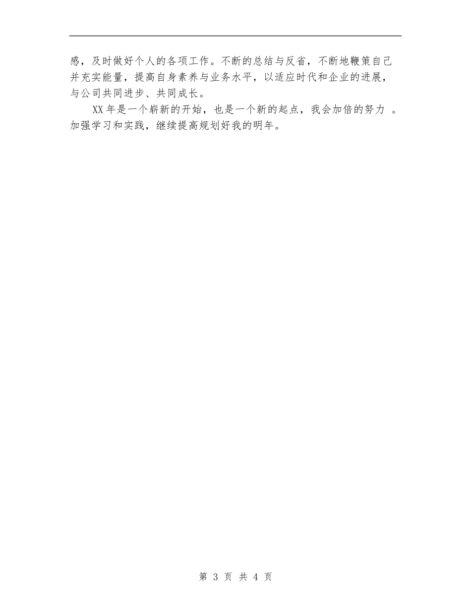 2024年11月科技有限公司年终报告_第3页