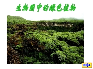苔藓、藻类、蕨类植物--课件