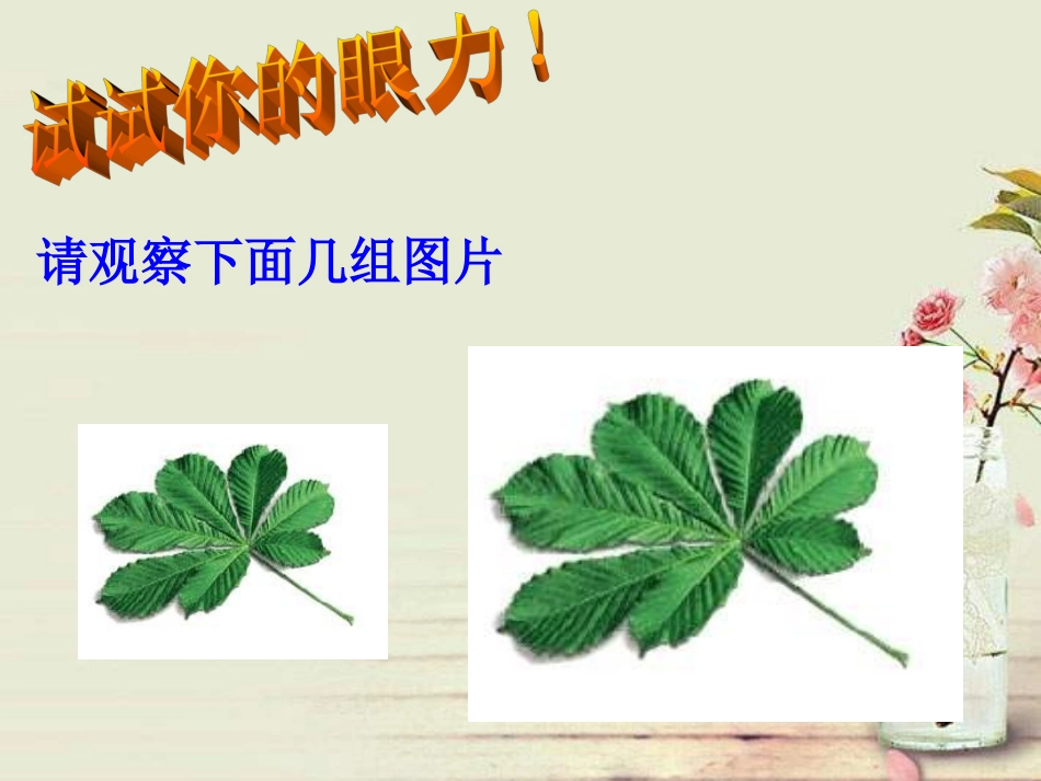 初中三年级数学下册第27章相似271图形的相似课件_第2页