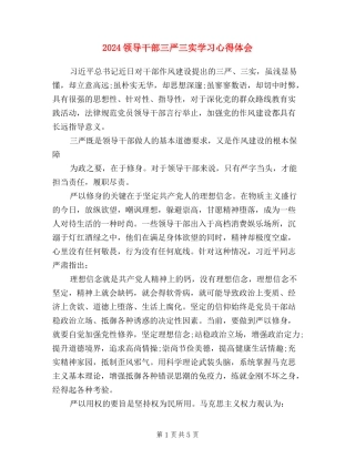 2024领导干部三严三实学习心得体会
