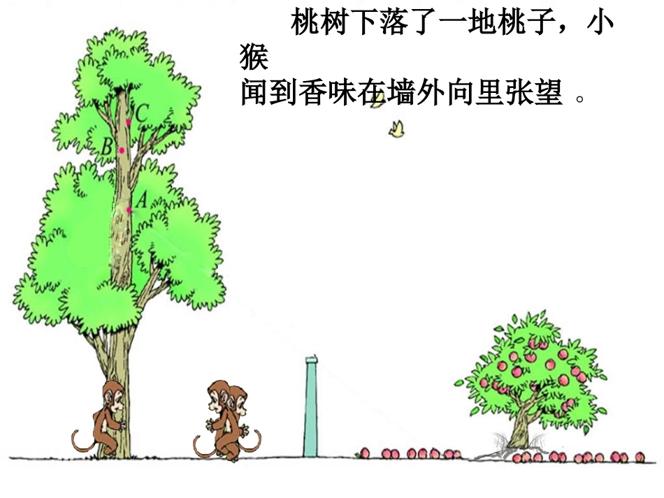 北师大版六年级数学上册《观察的范围2》PPT课件_第2页