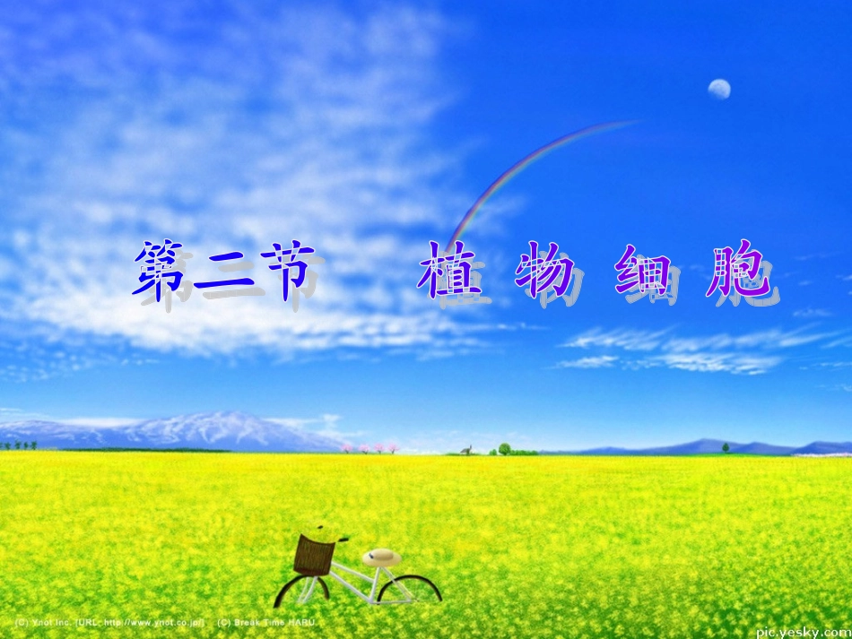 人教版七年级上册生物《观察植物细胞PPT课件》_第1页