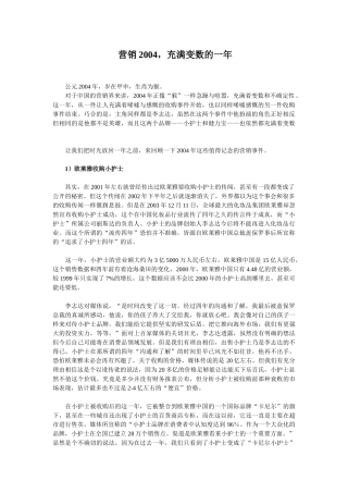 营销2004,充满变数的一年