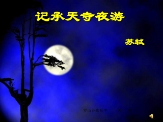 记承天寺夜游