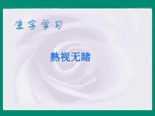 五年级下册语文《与象共舞》课件