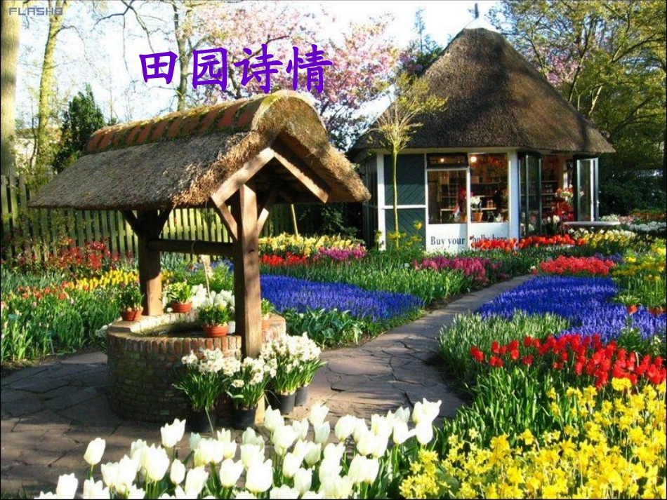 四年级上苏教版《田园诗情》课件_2_第1页