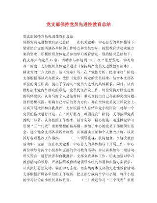 党支部保持党员先进性教育总结 