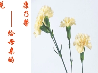 八年级语文上爱莲说课件人教版(1)