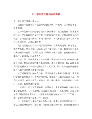 大一新生班干部的自我总结 