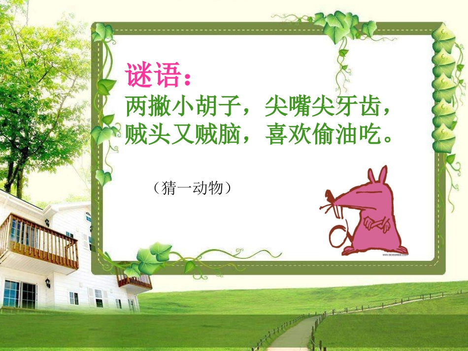 认识鼠标和鼠标的操作(课件)_第1页