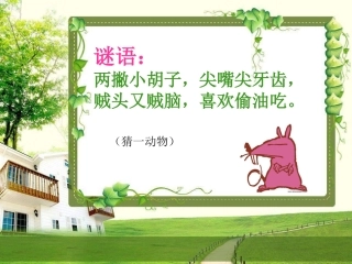 认识鼠标和鼠标的操作(课件)