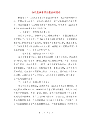 公司服务承诺自查自纠报告