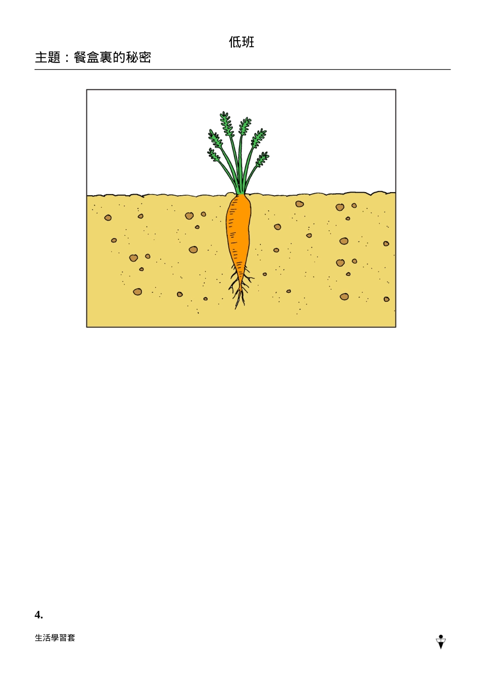 “胡萝卜的生长”图卡_第3页