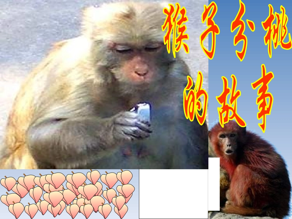 四年级数学商的变化规律_第1页