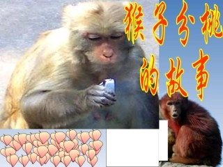四年级数学商的变化规律