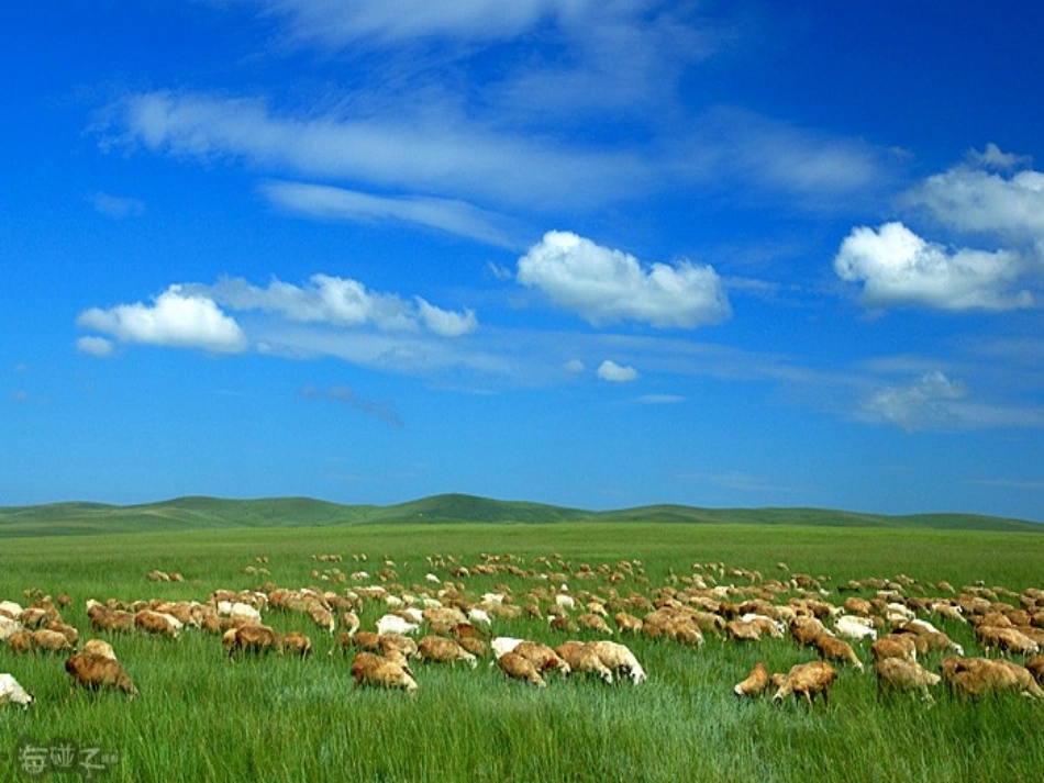 美丽的草原我的家PPT_第2页