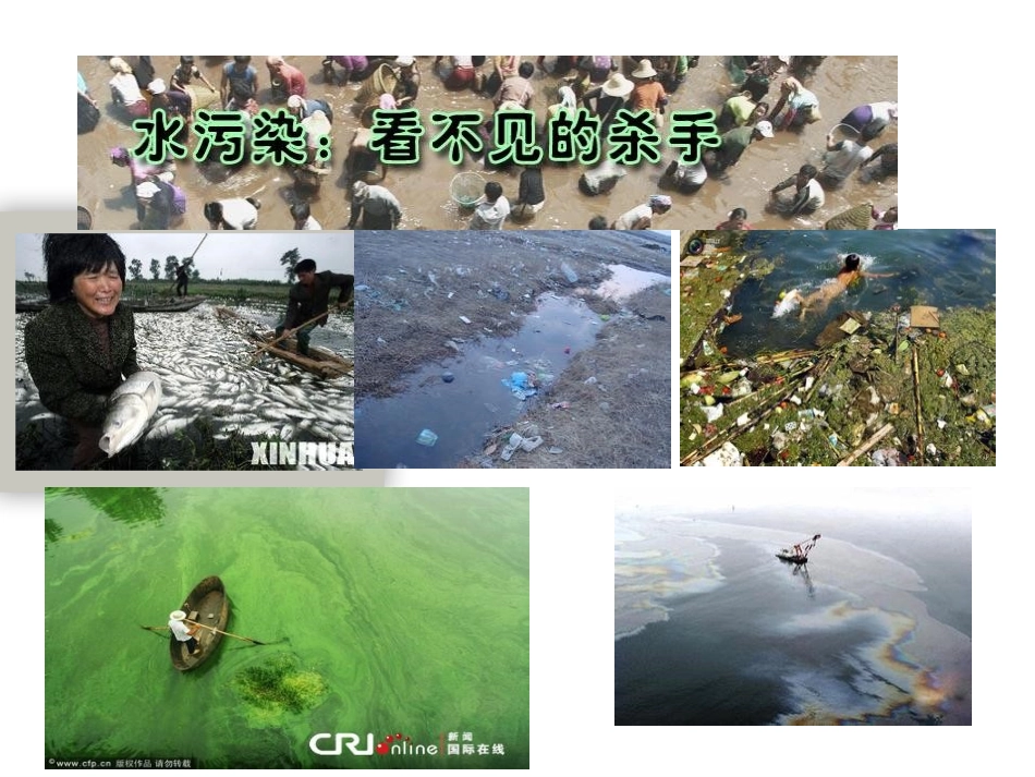 初三化学水体污染_第1页