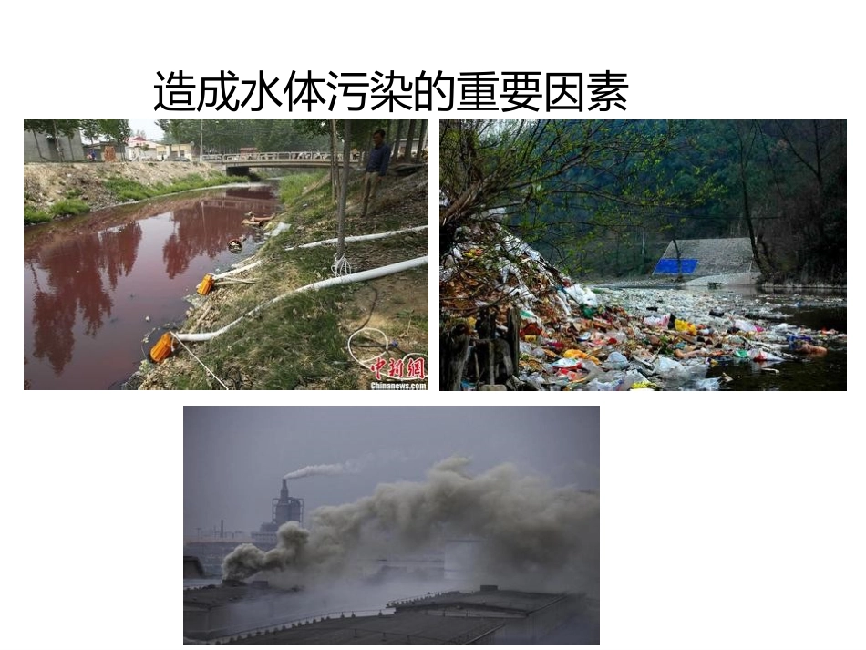 初三化学水体污染_第3页