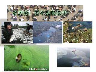 初三化学水体污染