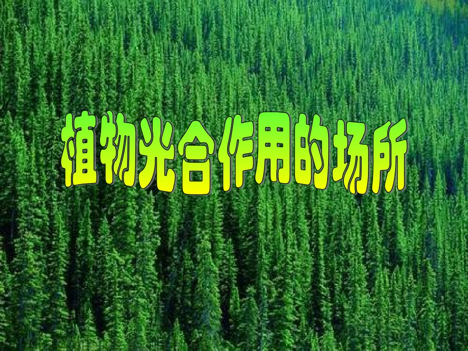 植物光合作用的场所_第1页
