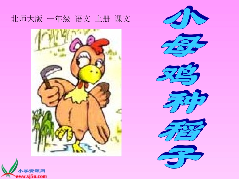 北师大版一年级语文上册《小母鸡种稻子》课件_第2页