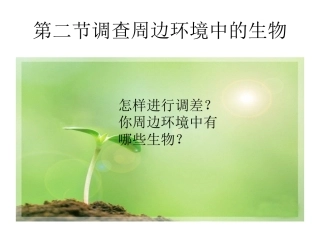 调查周边环境中的生物(新课本)