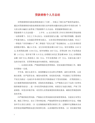 贷款销售个人月总结 