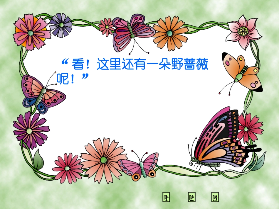 我不是最弱小的_第3页